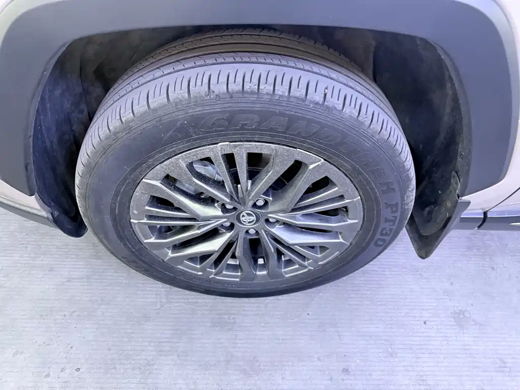 Wildlander 威兰达 2024款 双擎 2.5 L E-CVT两驱豪华PLUS版