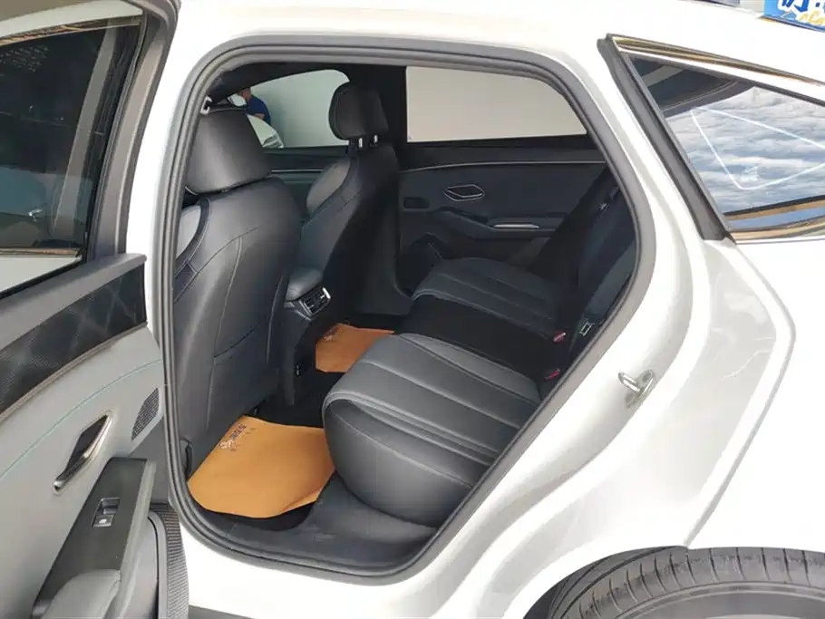Qin L DM-i Smart Drive 80 KM Leading