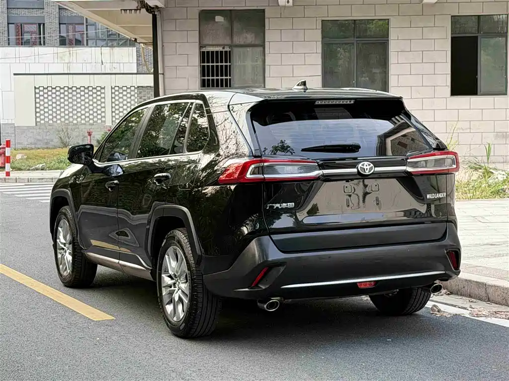 Wildlander 2.0 L CVT 2 WD Luxury
