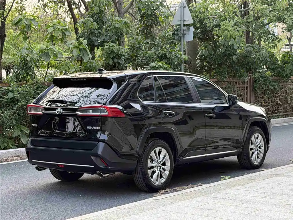 Wildlander 2.0 L CVT 2 WD Luxury
