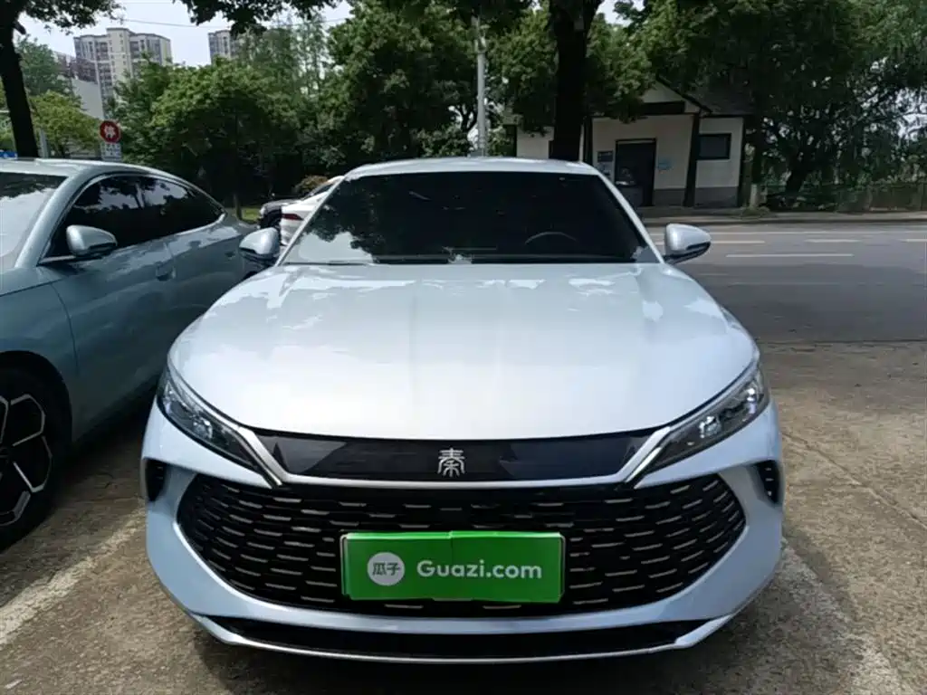 Qin L DM-i 80 KM Leading