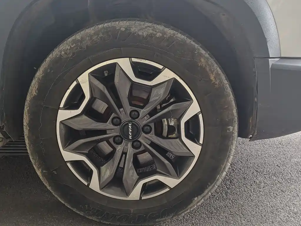 Haval Dargo 2.0 T DCT 4 WD Howling Dog