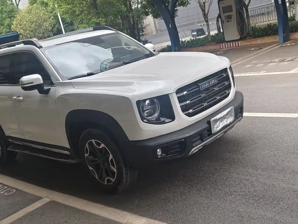 Haval Dargo 2.0 T DCT 4 WD Howling Dog