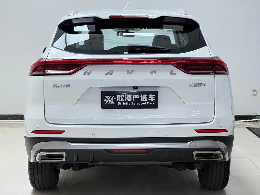 Haval H6 China Style 1.5 T Auto Urban