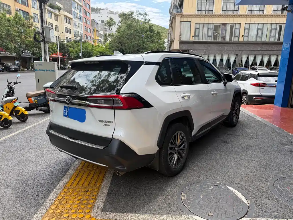 Wildlander 2.0 L CVT 4 WD Luxury PLUS