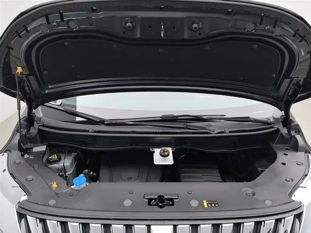 WEY High Mountain 4 WD Executive Extended