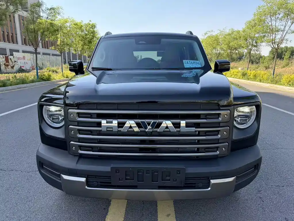 Haval Menglong NEV Hi4 145 Pro