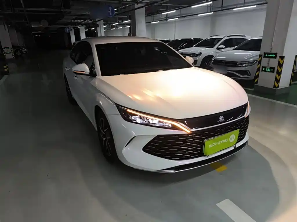 Qin L DM-i 80 KM Transcend