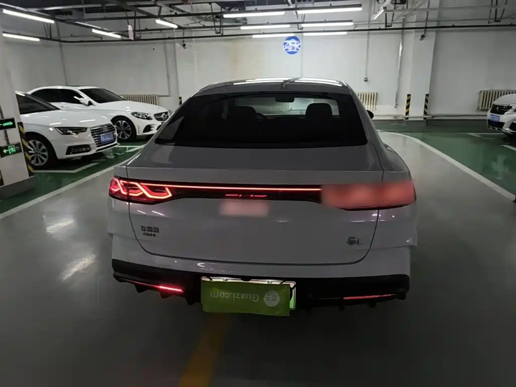 Qin L DM-i 80 KM Transcend