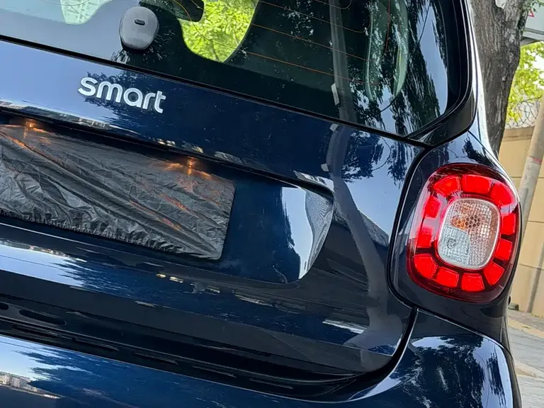 smart fortwo smart fortwo 2017款 0.9 T 66千瓦魅蓝特别版 国V