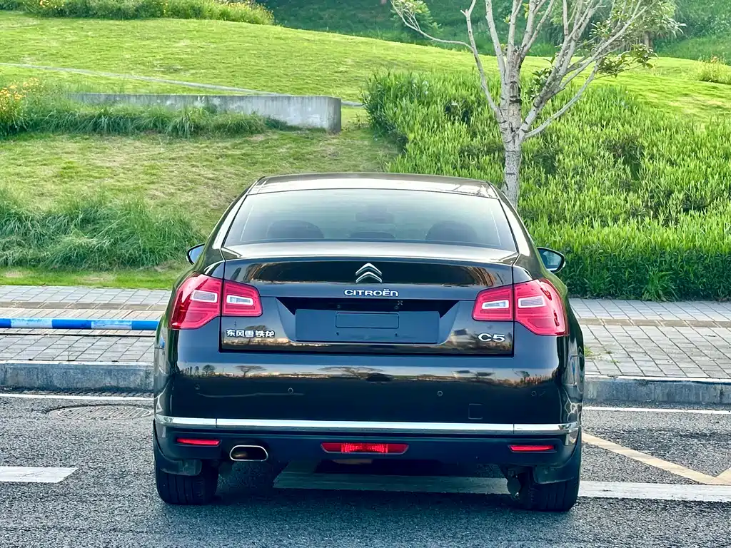 Citroen C5 2.0 L Auto Premium