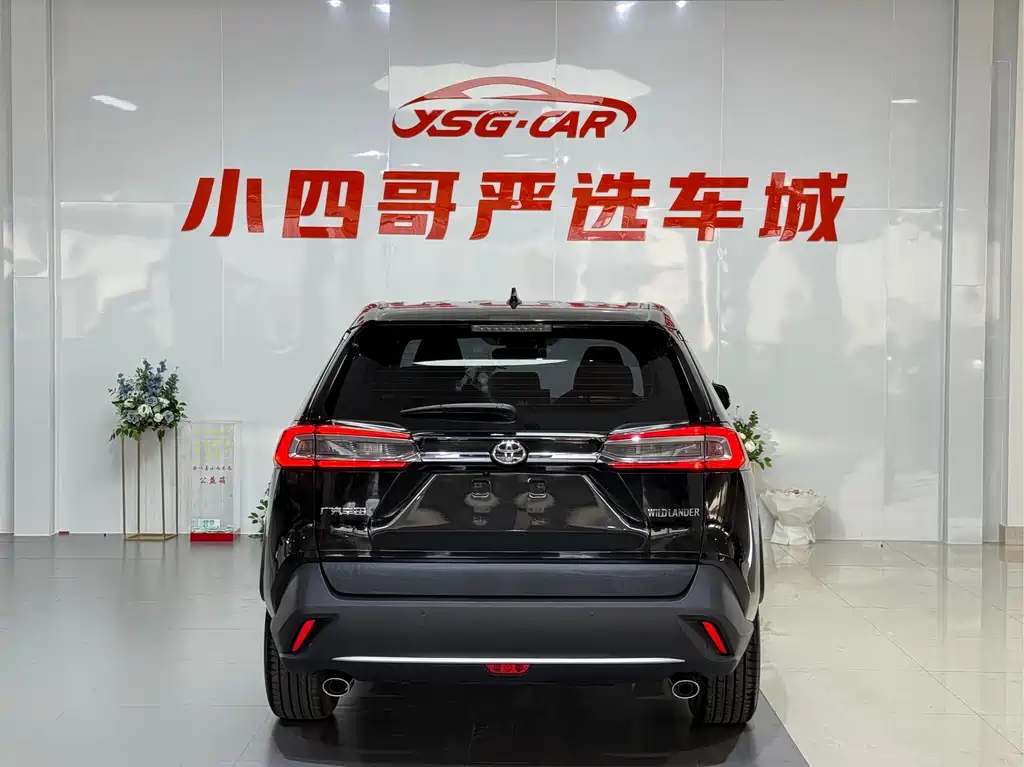 Wildlander 2.0 L CVT 2 WD Luxury