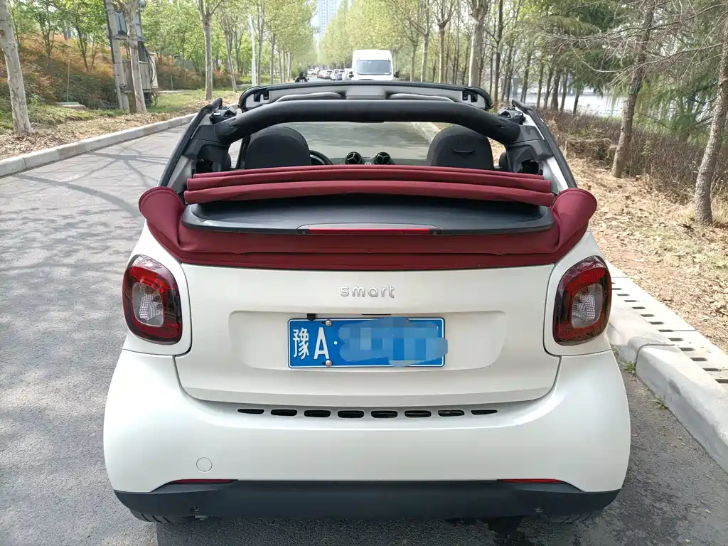 smart fortwo 1.0 L 52 kW Convertible Passion CN-V