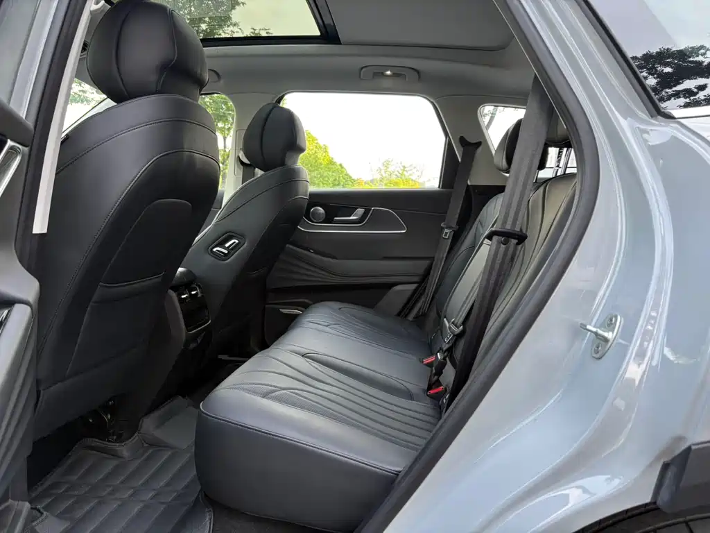 Fengyun T9 120 Long Range Comfort 5-seat Ternary Lithium
