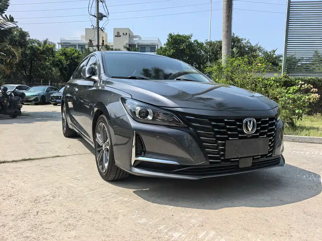 Ruicheng CC Blue Whale 1.5 T DCT Elite
