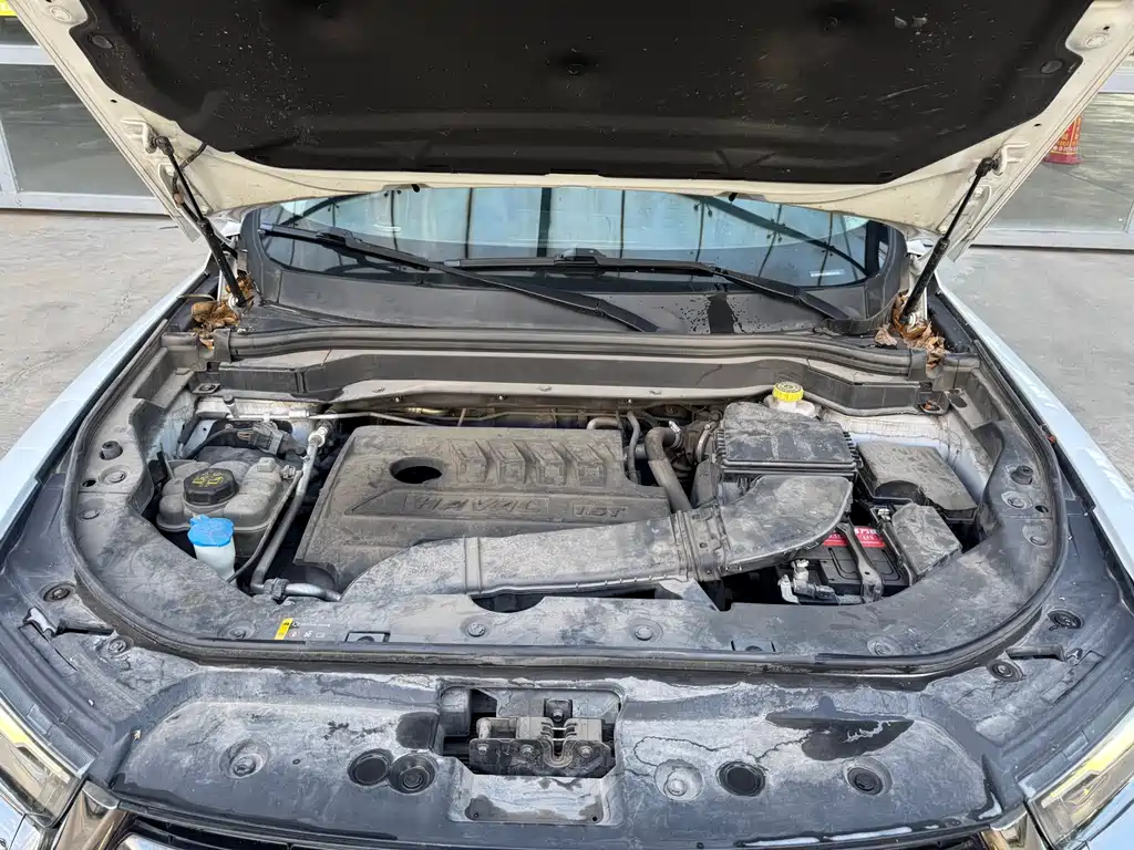 Haval H6 China Style 1.5 GDIT Auto Champion