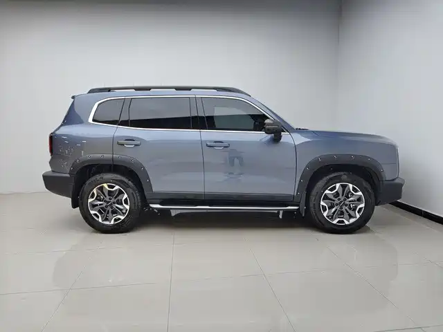 Haval Dargo 2.0 T DCT Brilliance Country Dog