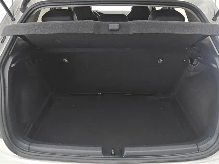 Polo Plus 1.5 L Auto Colorful Tech