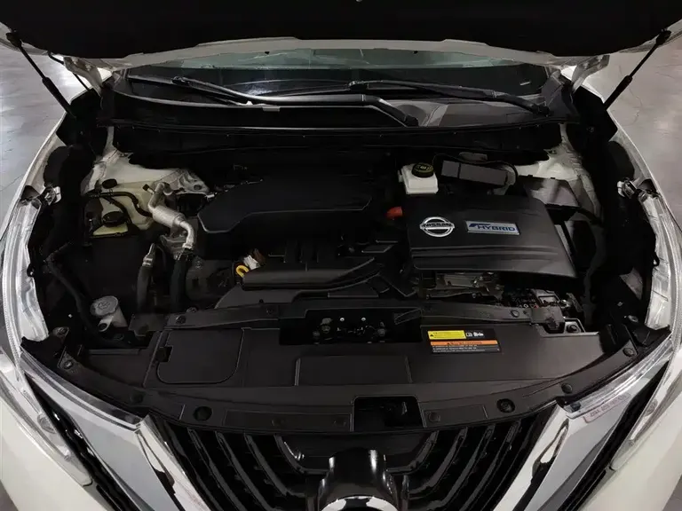 Nissan Murano 2.5 S C HEV XL 2 WD Hybrid Graceful
