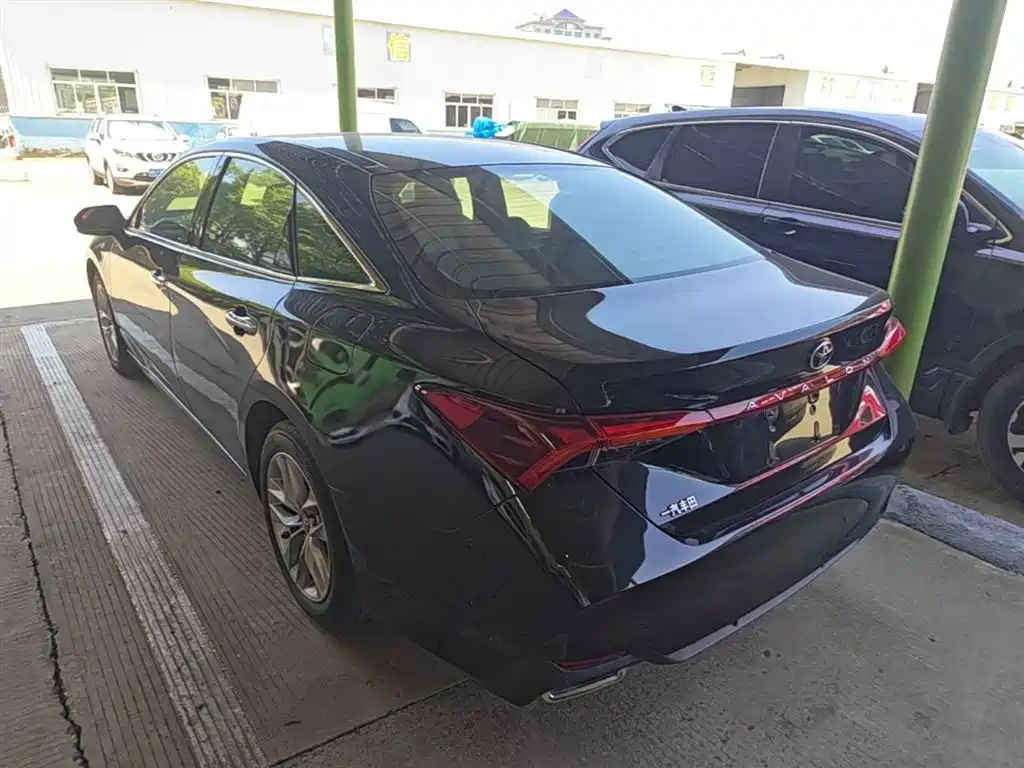 Avalon 2.0 L Luxury CN-VI