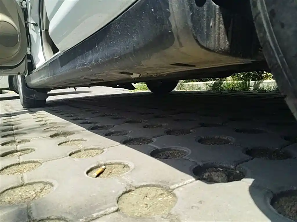 Venucia D50 1.6 L Manual Fashion