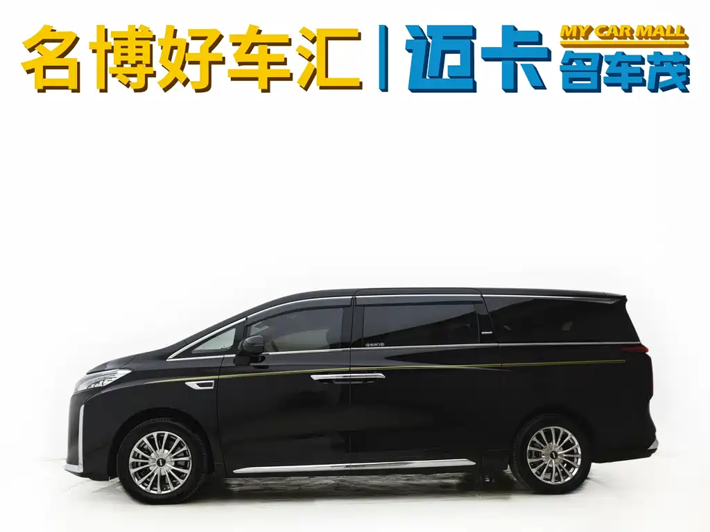 WEY High Mountain 4 WD Executive Extended
