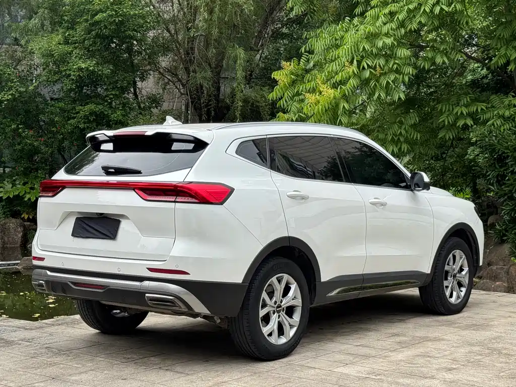 Haval H6 China Style 1.5 T Auto Champion