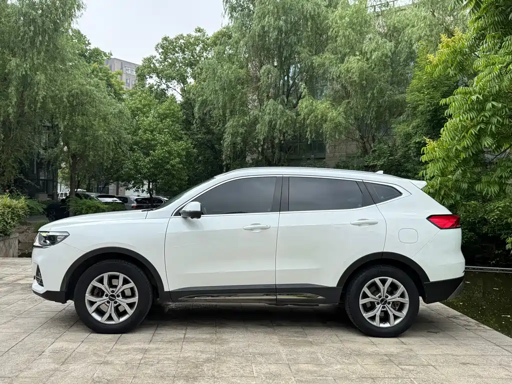 Haval H6 China Style 1.5 T Auto Champion