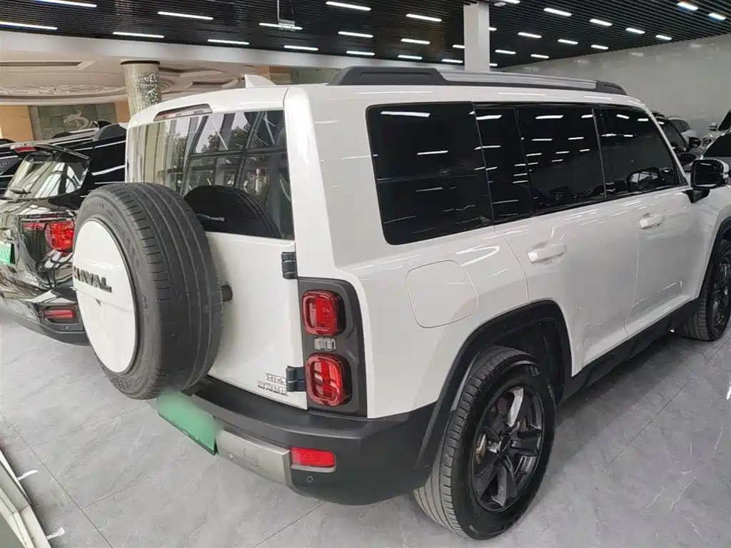 Haval Menglong NEV Hi4 145 Explorer