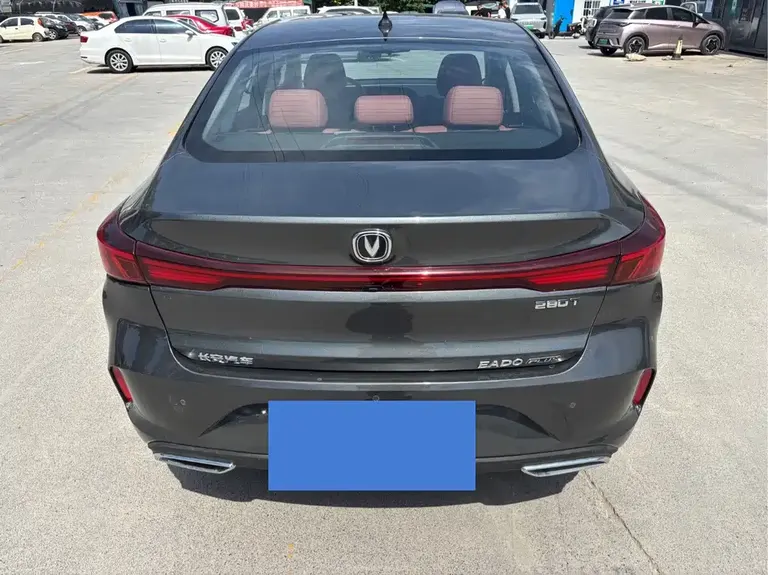 Changan Ruicheng PLUS 1.5 T DCT Distinguished