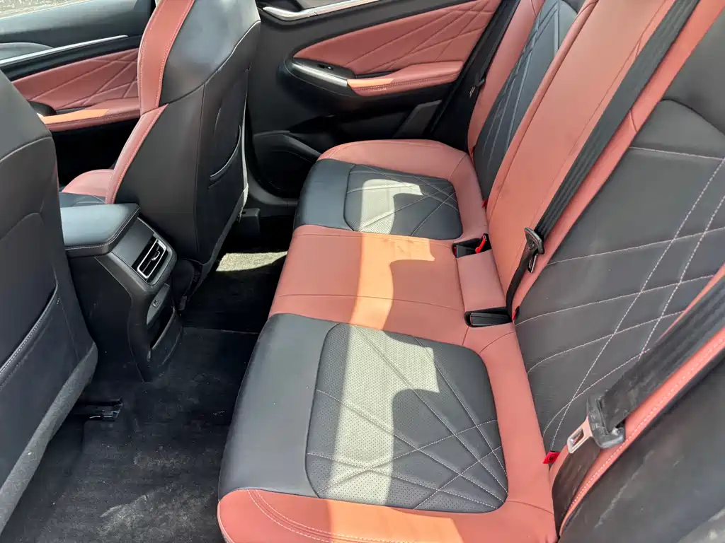 Ruicheng PLUS 1.5 T DCT Distinguished