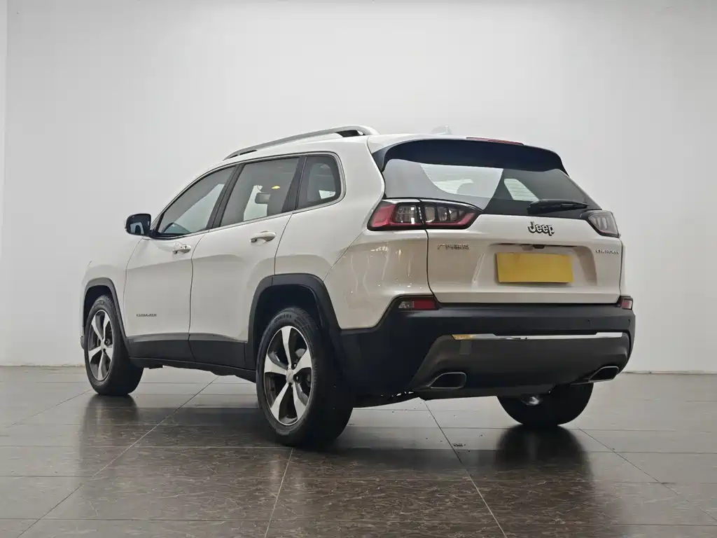 Cherokee 自由光 2020款 2.0 T 两驱领先版