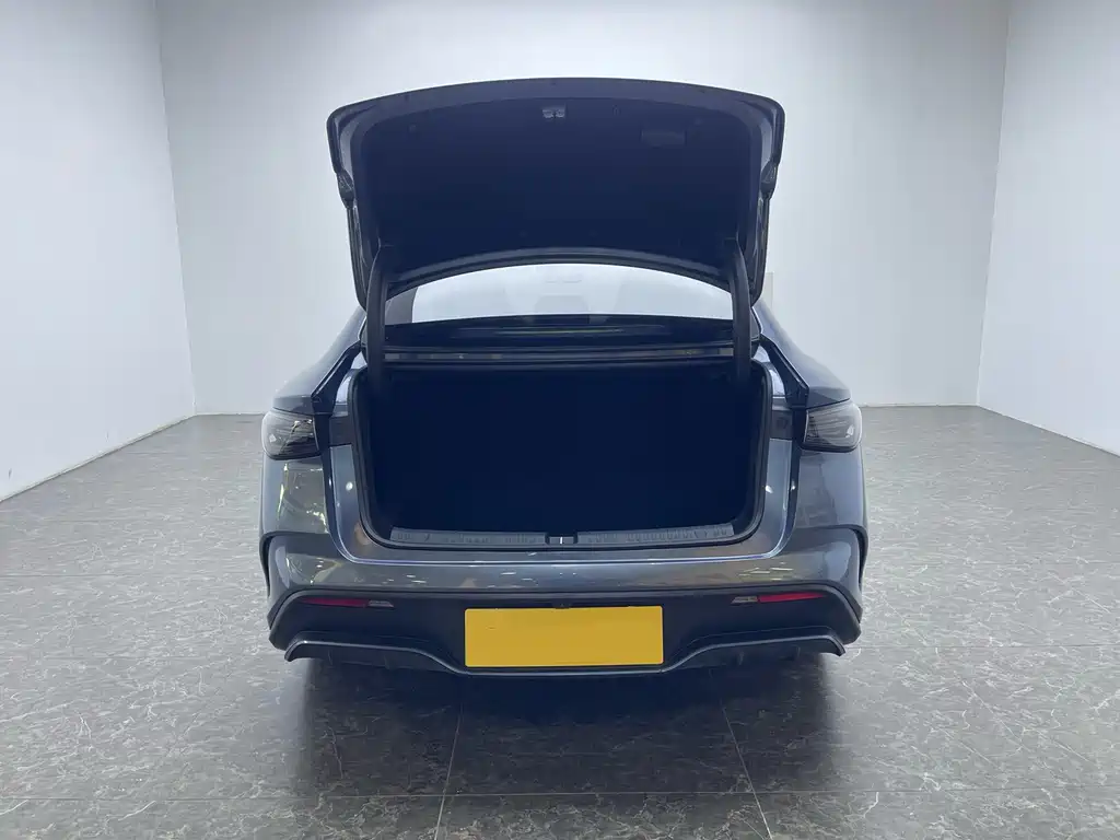 Seal 06 DM-i 120 KM Premium