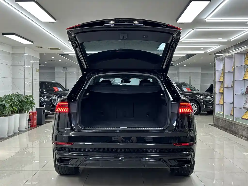 Audi Q8 55 TFSI Luxury Dynamic