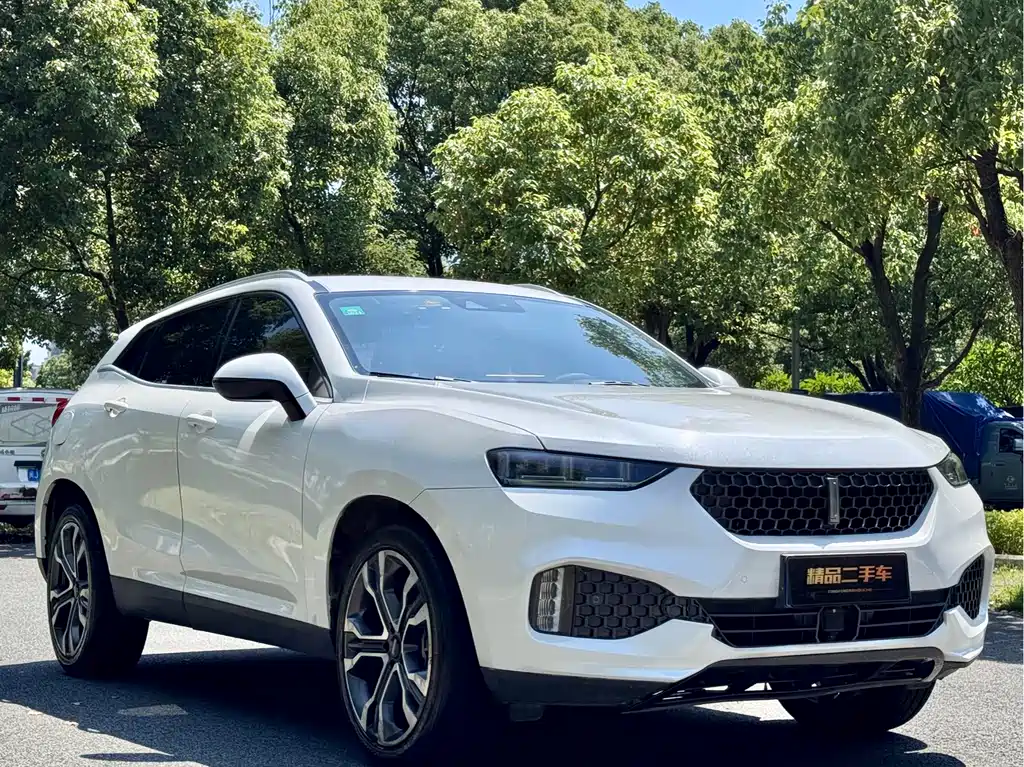 WEY VV7 VV7 c 2.0 T Flagship