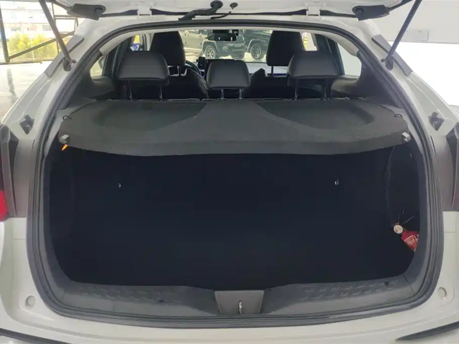 Toyota C-HR 2.0 L Luxury