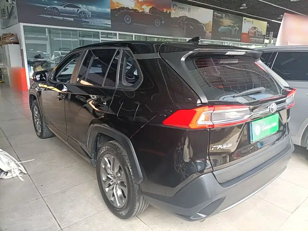 Wildlander 2.0 L CVT 2 WD Leading