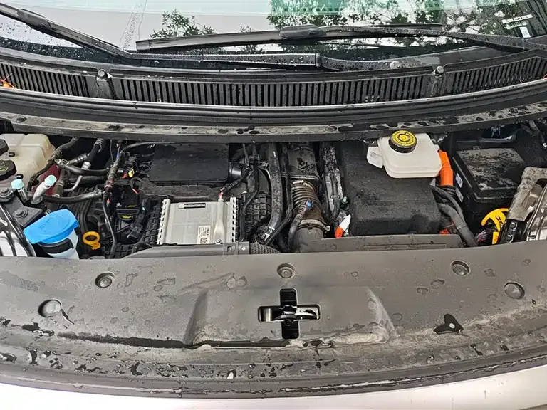 Denza D9 DM-i Smart Drive 1020 4 WD Honored