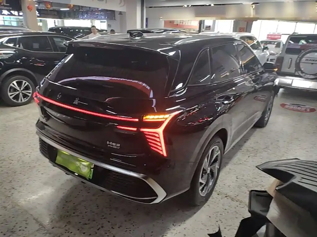 Hongqi HS3 PHEV 115 km Power Action