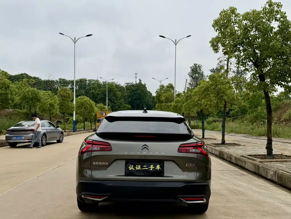 C5 X 1.6 T Extraordinary Enjoyment Tiger Year
