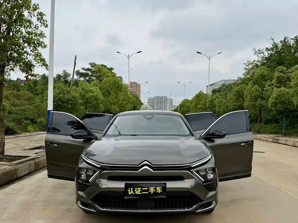C5 X 1.6 T Extraordinary Enjoyment Tiger Year