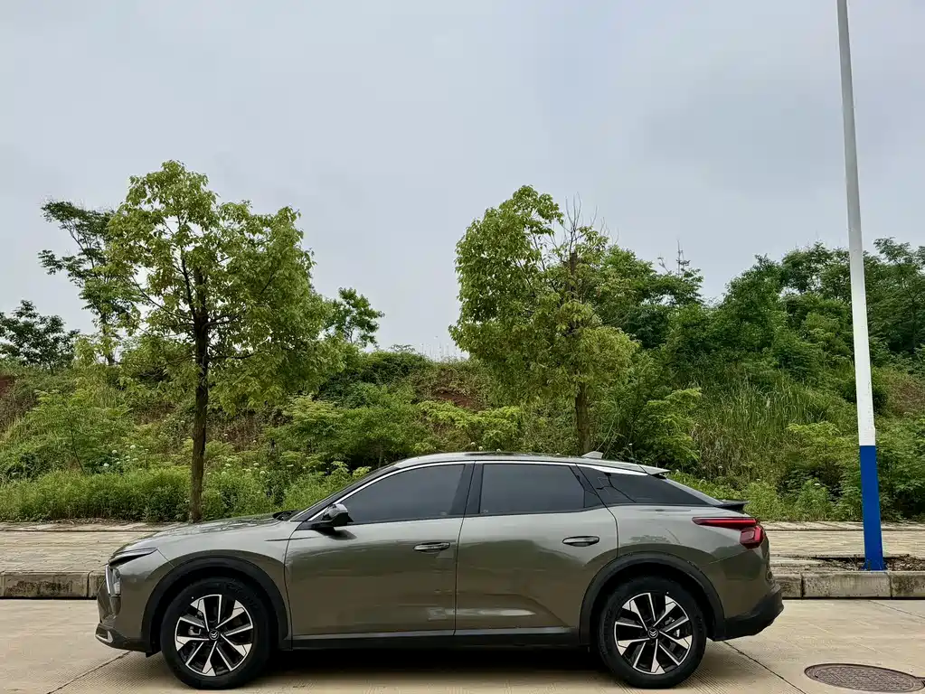 C5 X 1.6 T Extraordinary Enjoyment Tiger Year