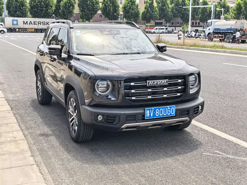 Haval Dargo 哈弗大狗 2021款 改款 1.5 T DCT两驱马犬-旺财版