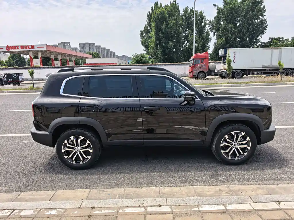 Haval Dargo 哈弗大狗 2021款 改款 1.5 T DCT两驱马犬-旺财版