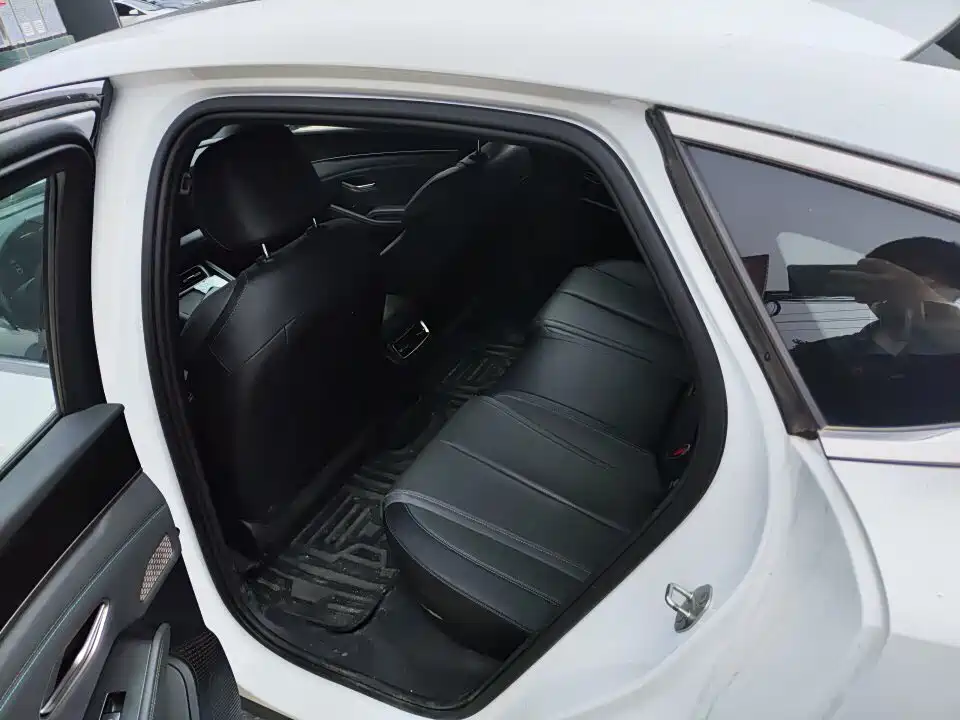 Qin L DM-i Smart Drive 120 KM Transcend