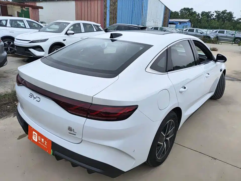 Qin L DM-i Smart Drive 120 KM Transcend