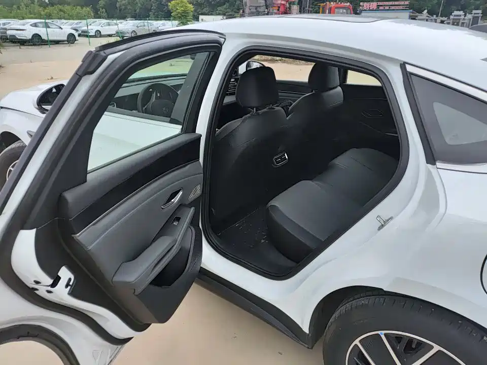 Qin L DM-i Smart Drive 120 KM Transcend