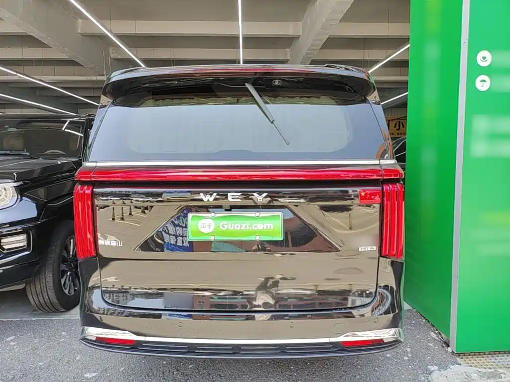 WEY High Mountain 4 WD Executive Extended