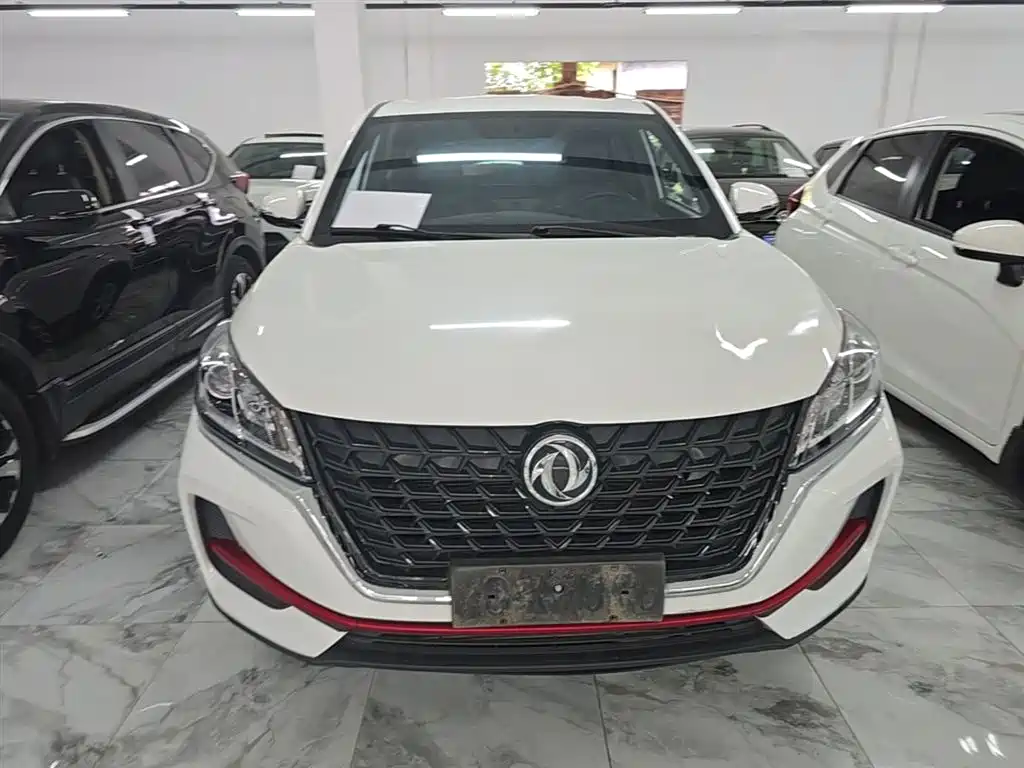 Fengguang 500 1.5 L CVT Joy