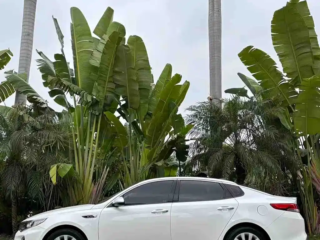 Kia K5 1.6 T Auto LUX